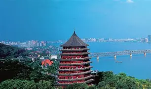 包含浙江队完成体检备战国王杯费城76人内部沟通，这操作让人直呼：波尔图赛前单刀错失的词条